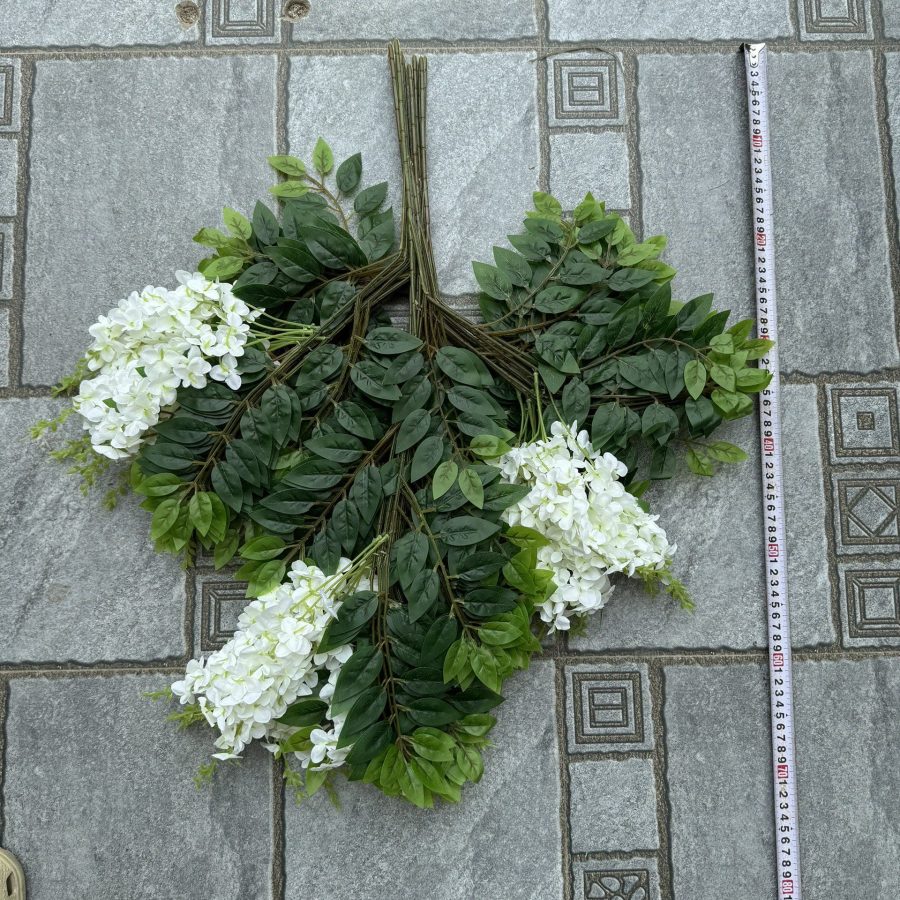 Tử Đằng Ngắn Có Hoa