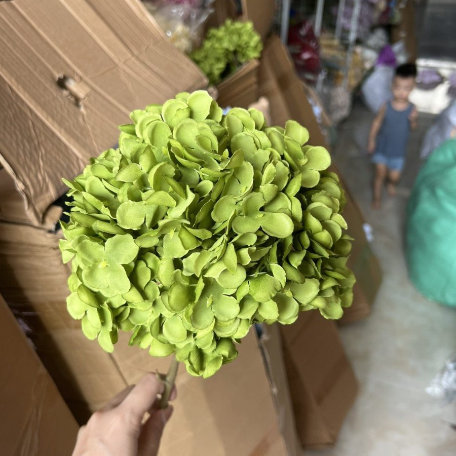 Tú Cầu Đại 1 Bông Không Lá