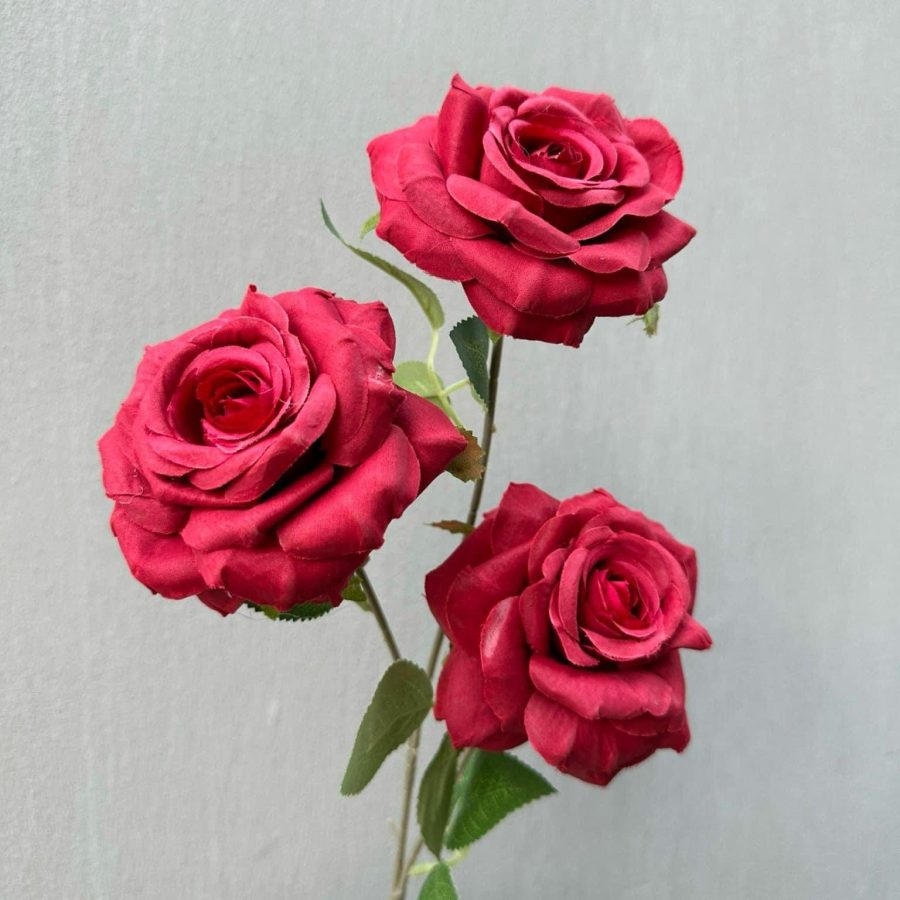 Hồng Khô