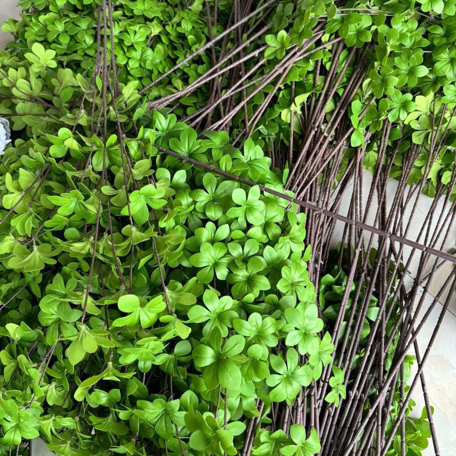 Thạch Nam Cao Su Loại 1