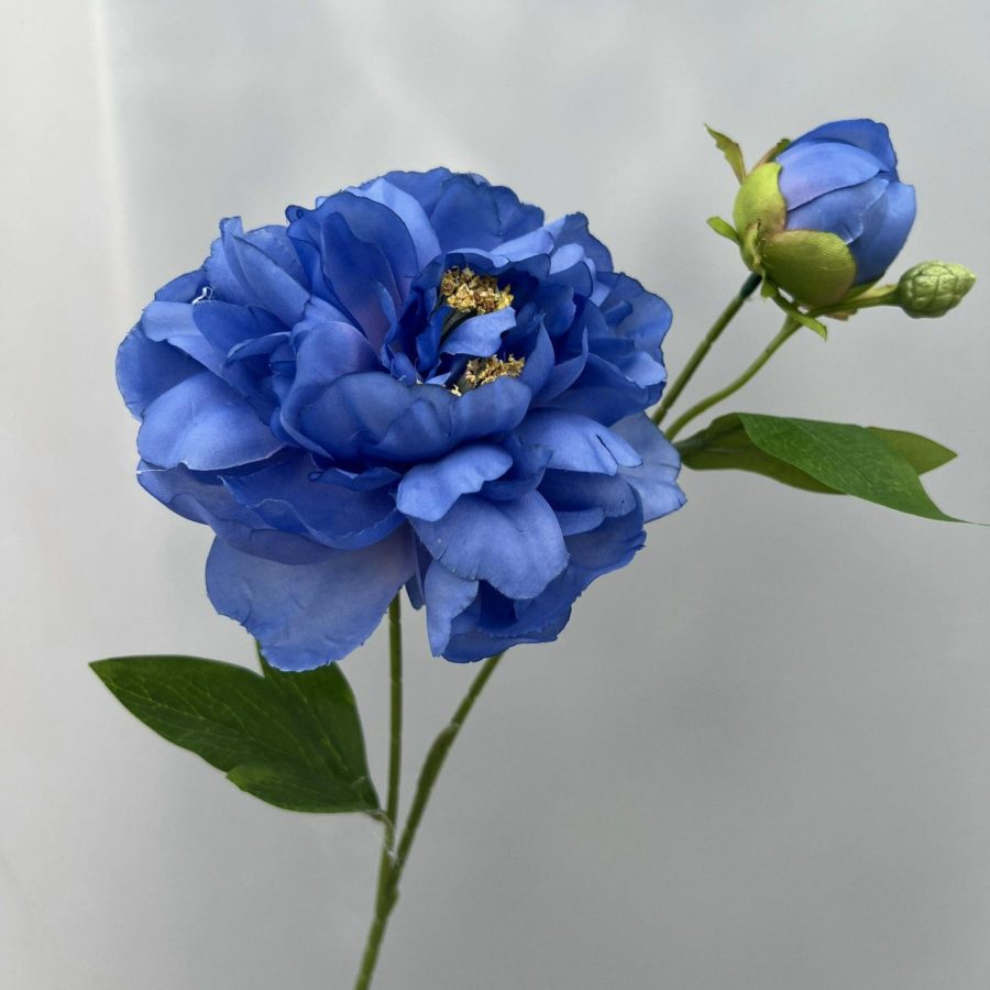 Mẫu Đơn 1 Bông 1 Nụ