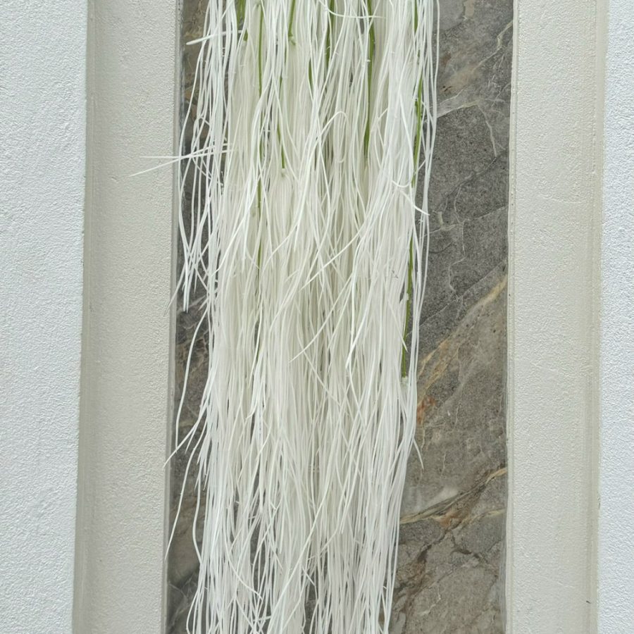 Rủ Tơ Hồng Loại 1