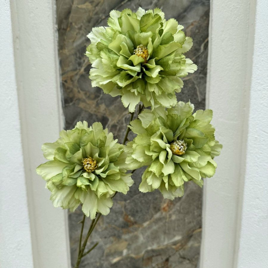 Phăng Đại 3 Bông Loại 1