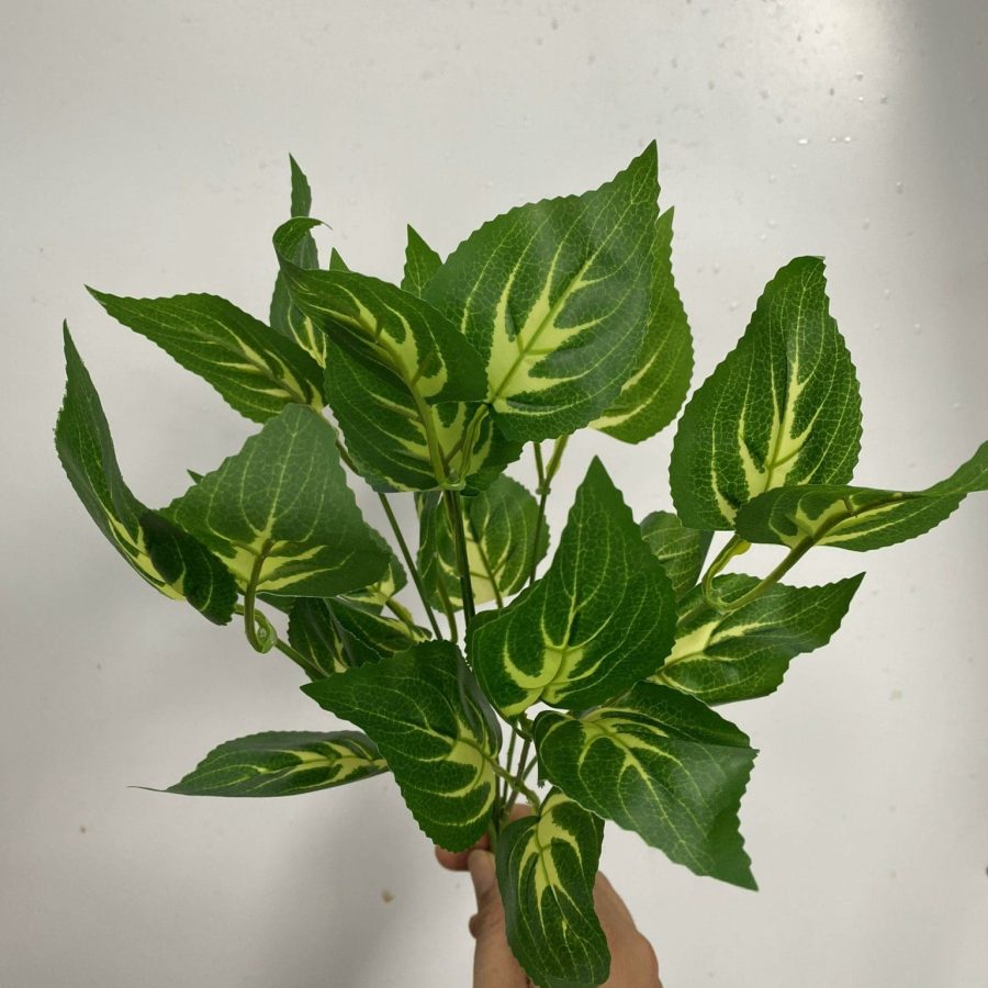 Cụm Lá Bé