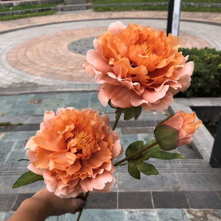 Mẫu Đơn 2 Bông 1 Nụ