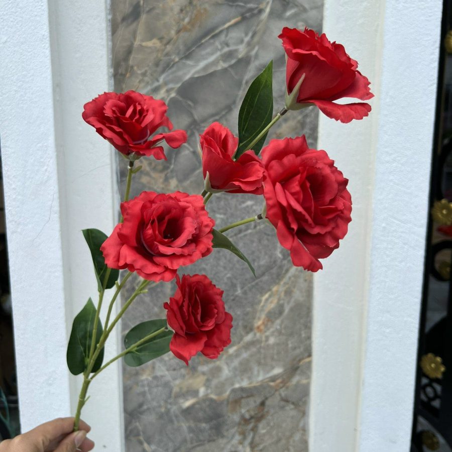 Cát Tường 6 Bông