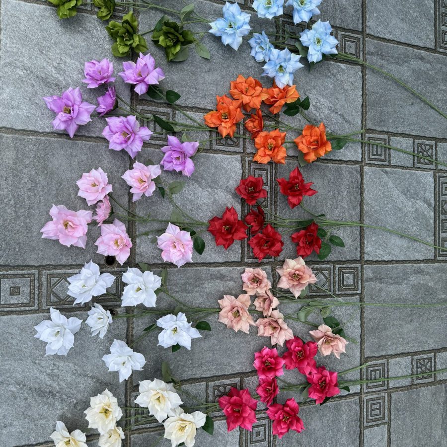 Thuỷ Tiên 6 Bông