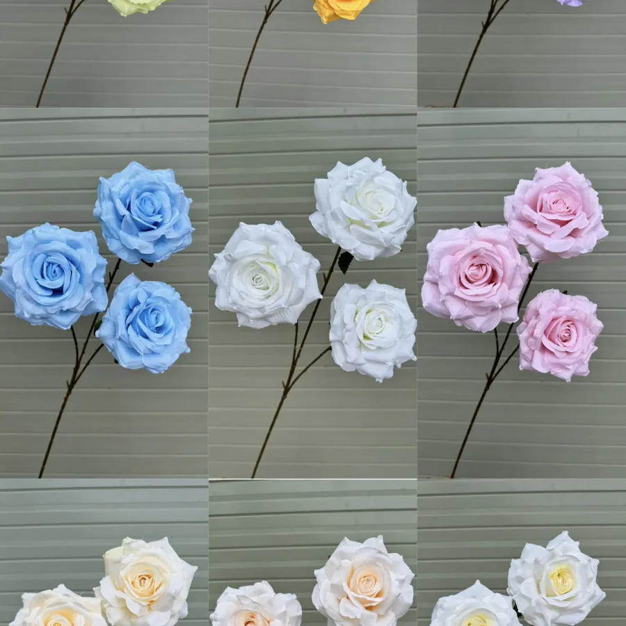 Hồng Gấm 3 Bông Hàng Vn