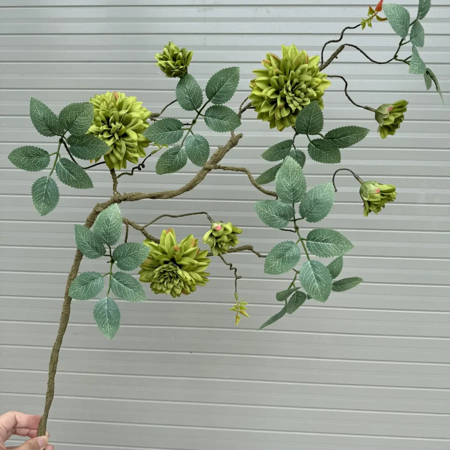 Cành thược dược cổ