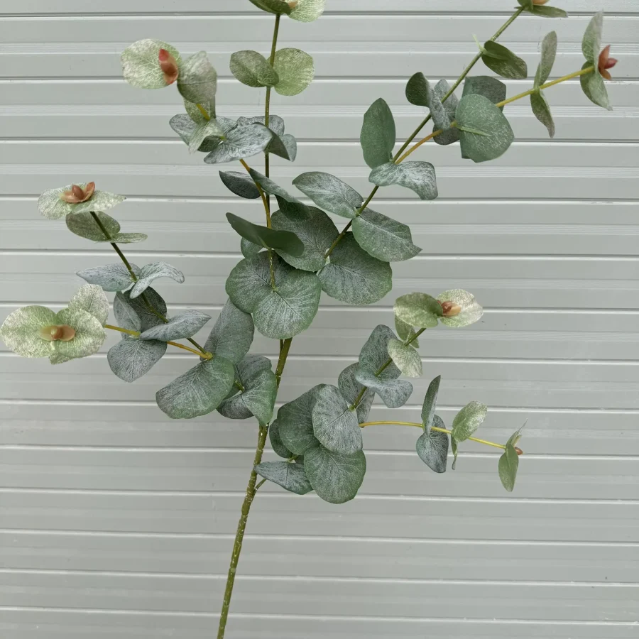 LÁ KHUYNH DIỆP VIP