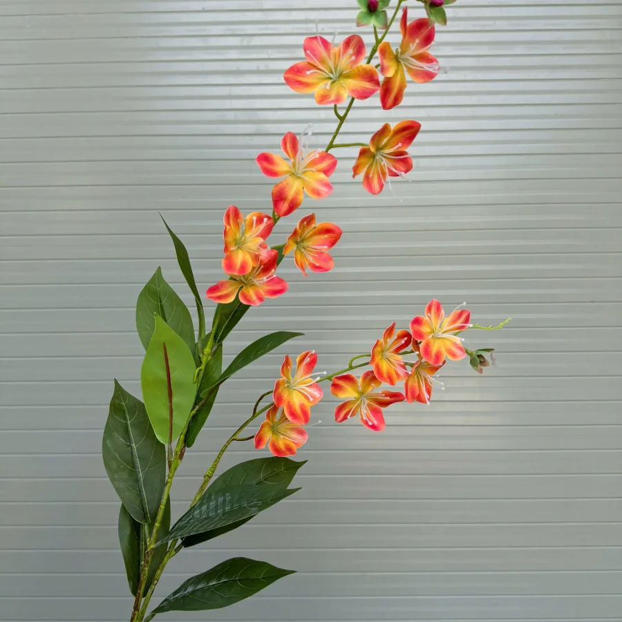 Hải đường cao su