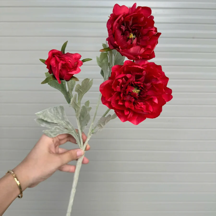 Mẫu đơn kép thân phấn