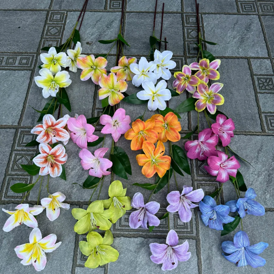 Ly vải 3 bông cành cao