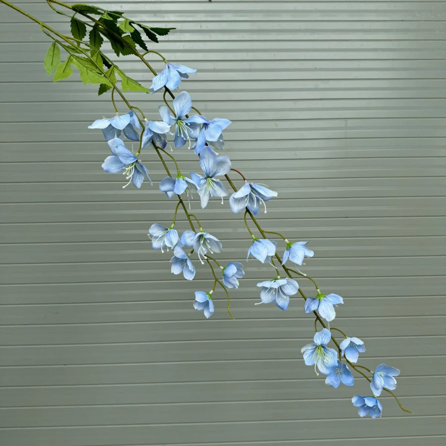 Hải đường 2 nhánh