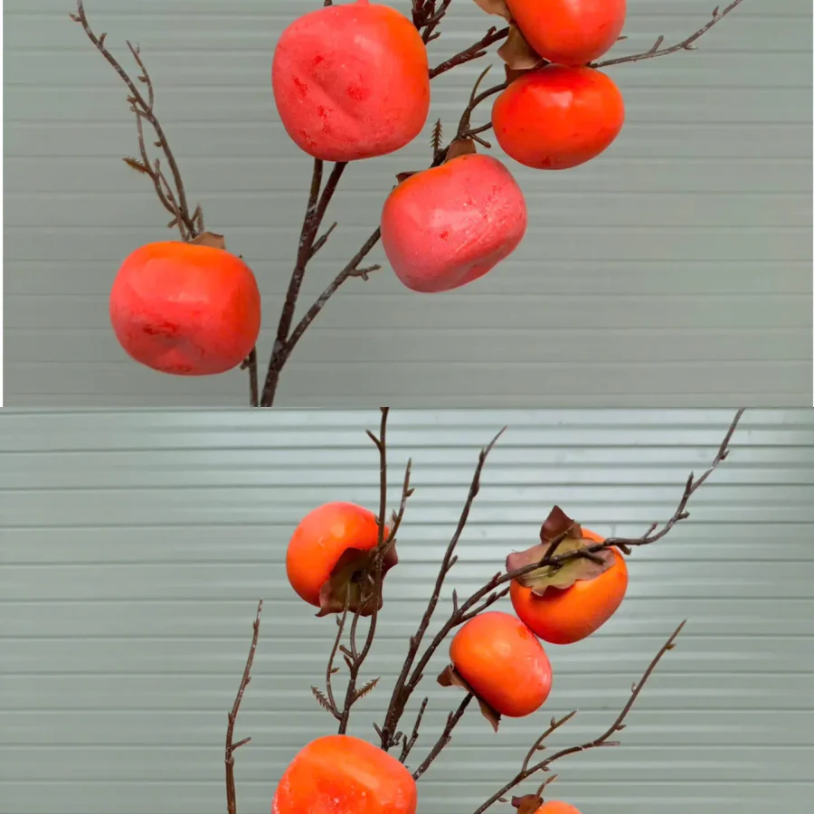 Hồng dẹt 7 quả phủ phấn