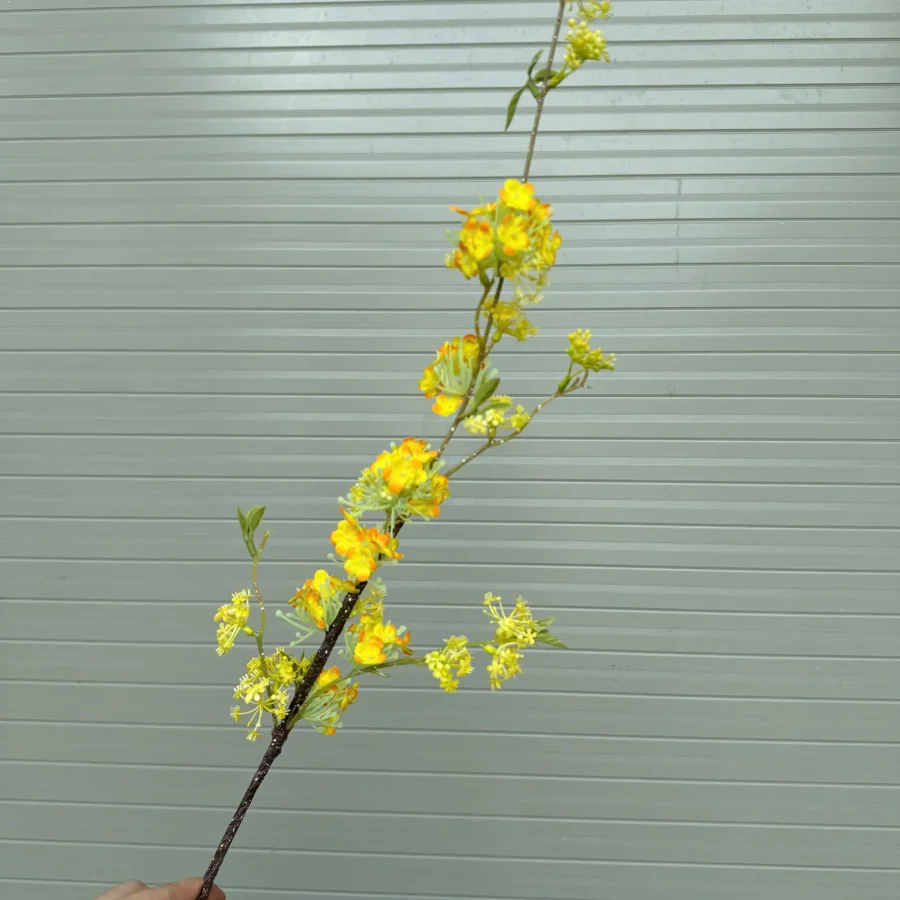 Tuyết mai 1 nhánh