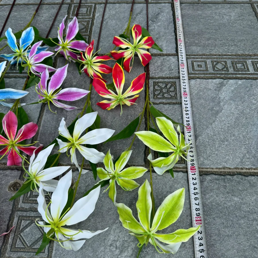 Bỉ ngạn 3D cao su