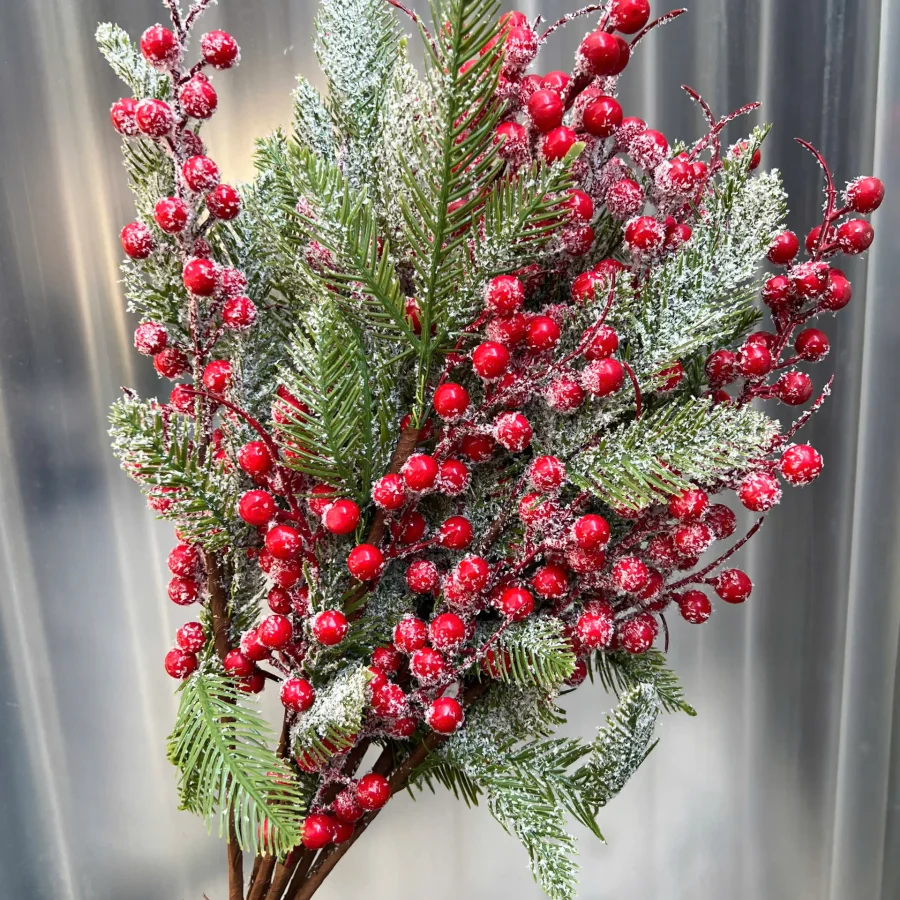 Đào đông tuyết