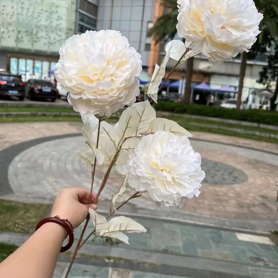 Mẫu Đơn Vip Loại 1