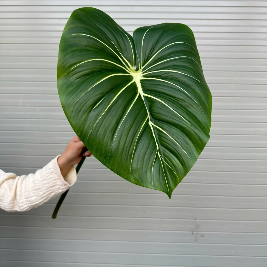 Lá trầu cao su kt lá 33x40