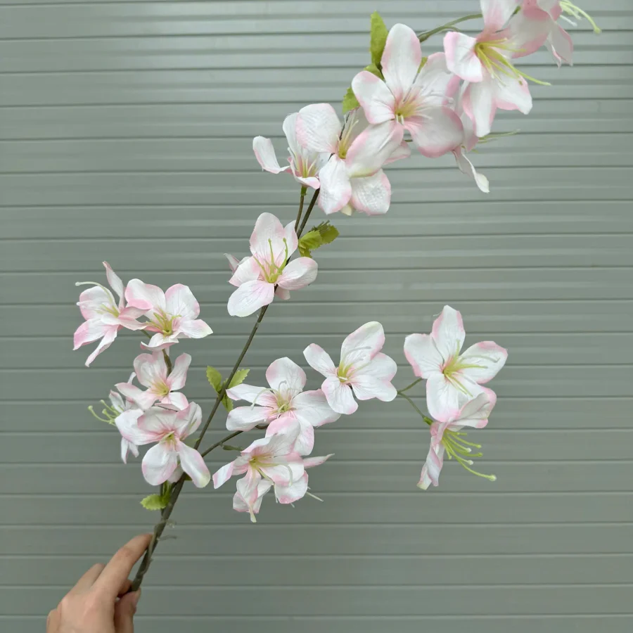 Hải Đường 3 Nhánh