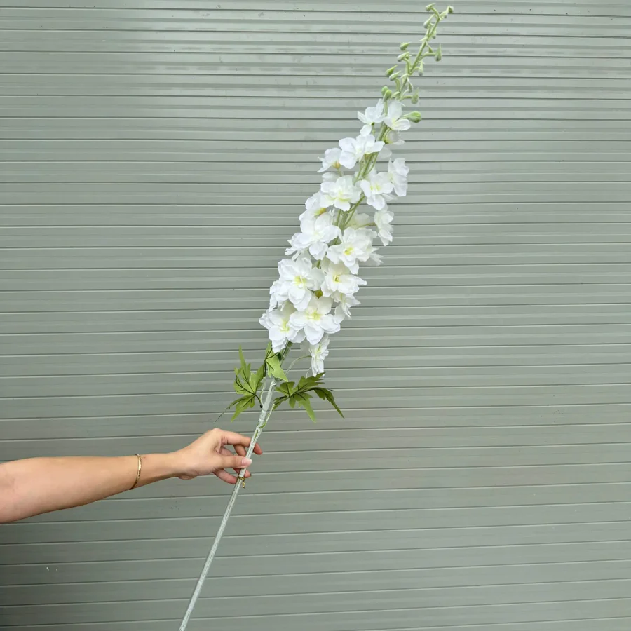 Phi yến Khủng long