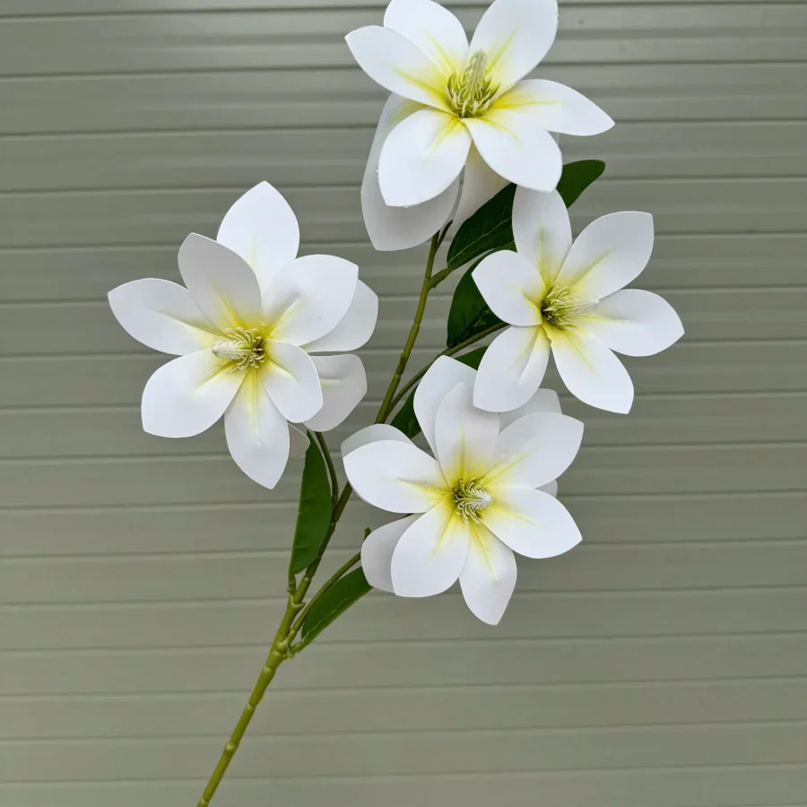 Ngọc lan kép 4 bông