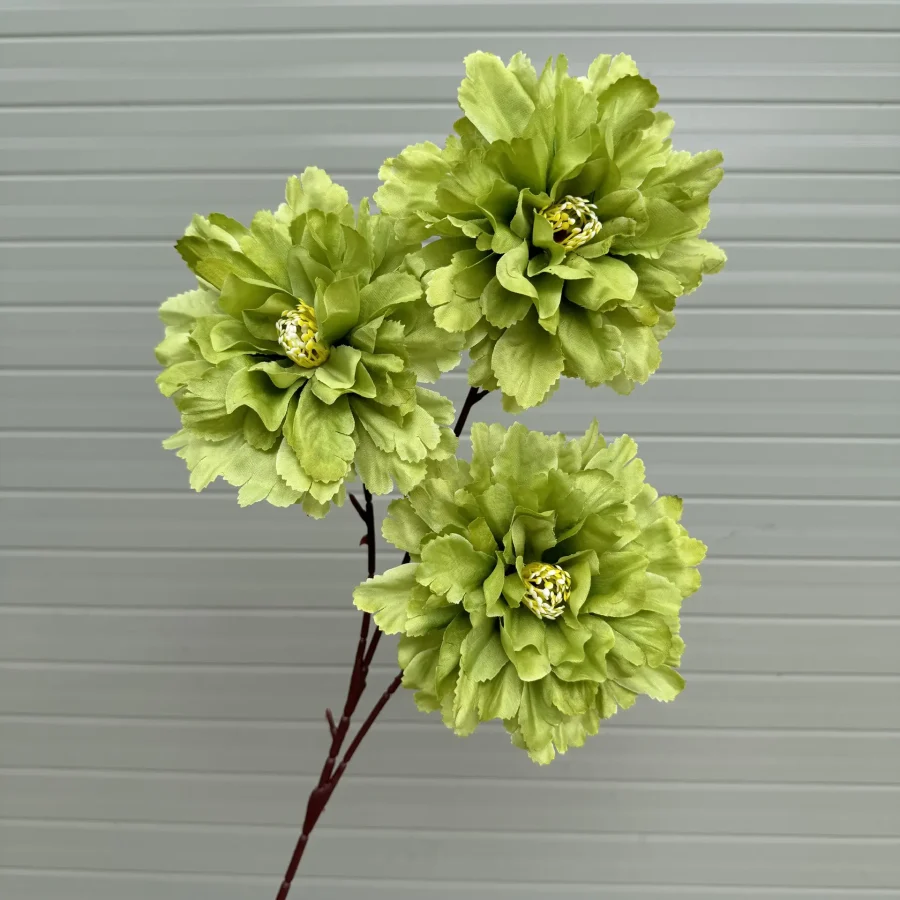 Phăng đại 3 bông