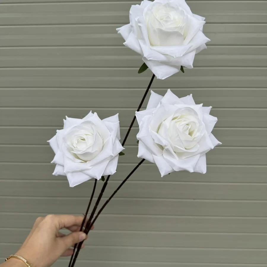 Hồng kim cương 3 bông