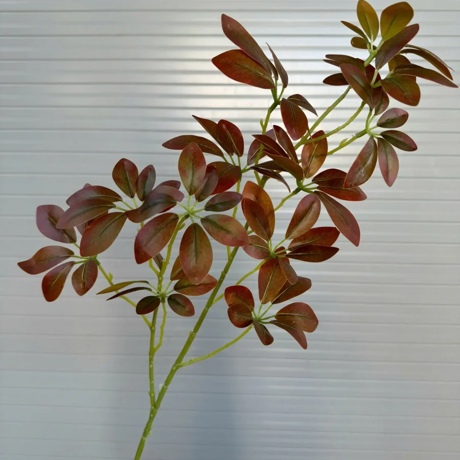 TRẠNG NGUYÊN CAO SU