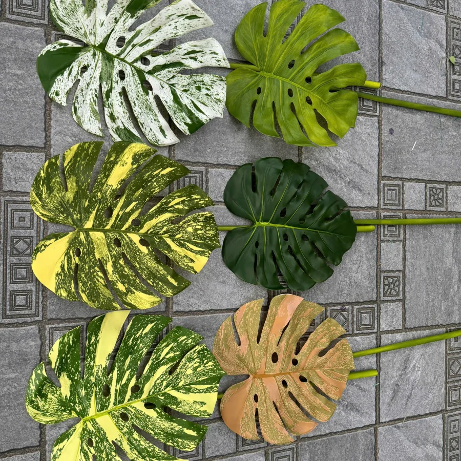 LÁ RÙA CAO SU VIP 35X40