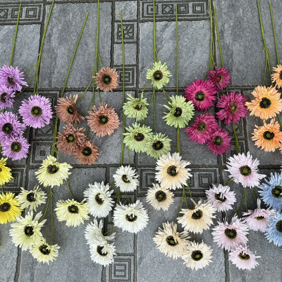 ĐỒNG TIỀN 5 BÔNG