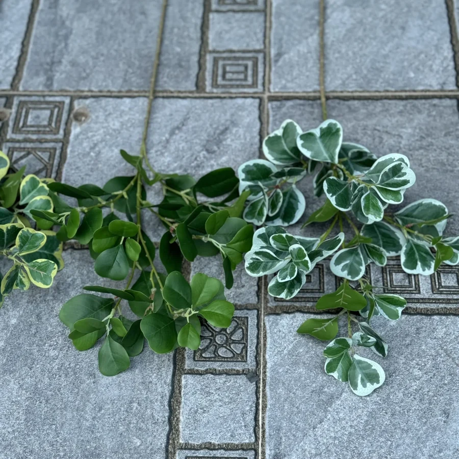 LÁ TRÁI TIM CAO SU