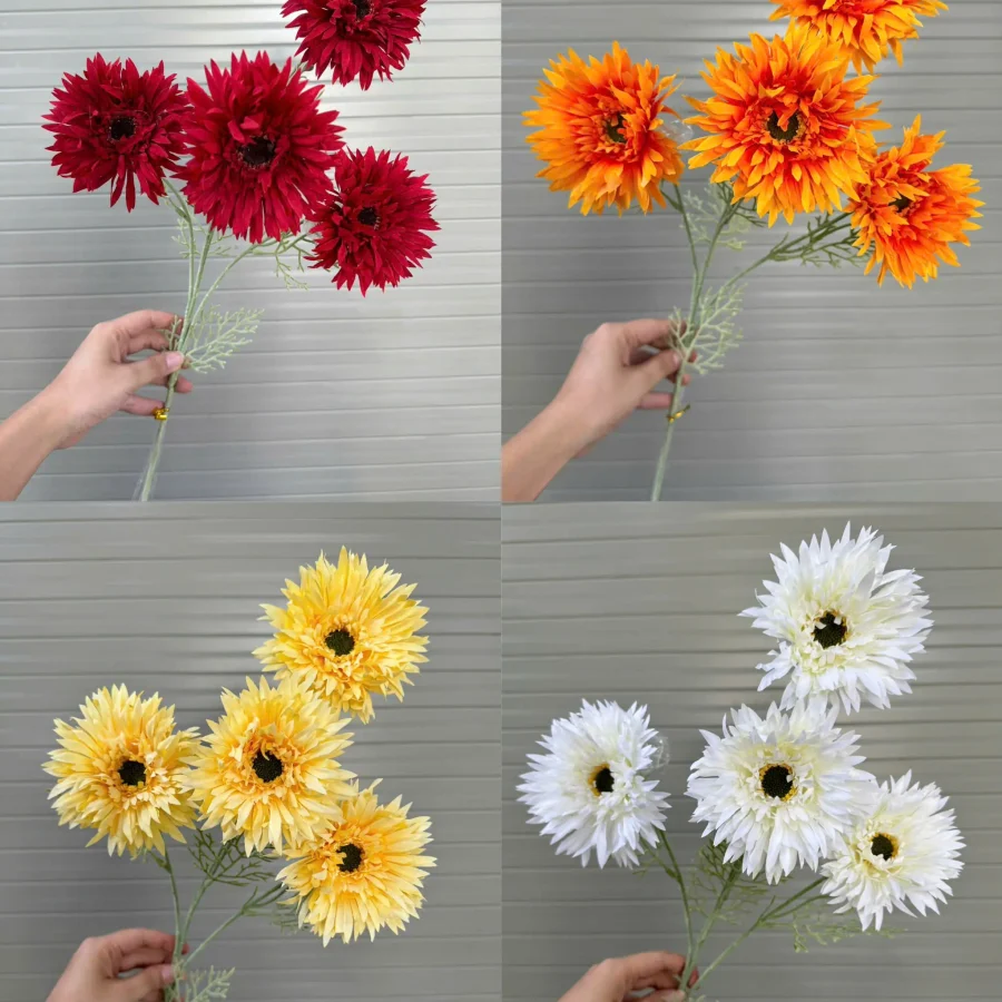 CÚC ĐỒNG TIỀN 4 BÔNG