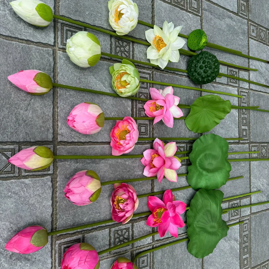 SEN QUAN ÂM ĐỦ BỘ