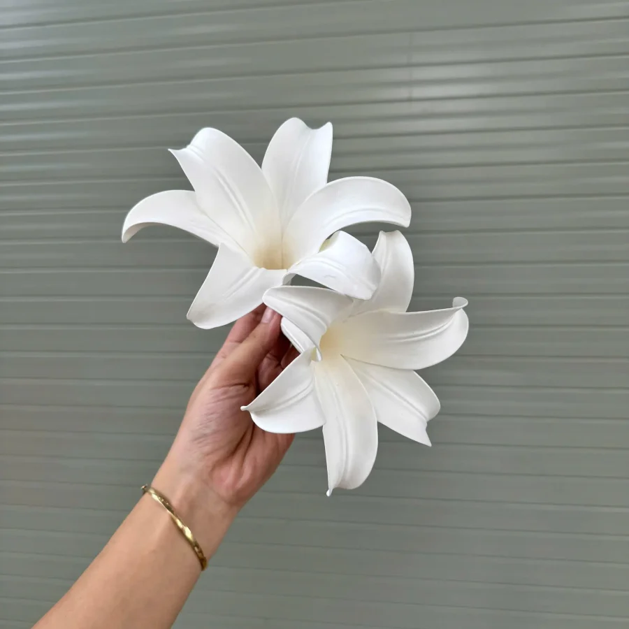 BÔNG LOA KÈN XỐP