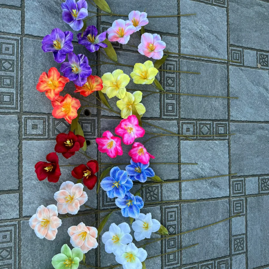 NGỌC LAN NỞ 3 BÔNG