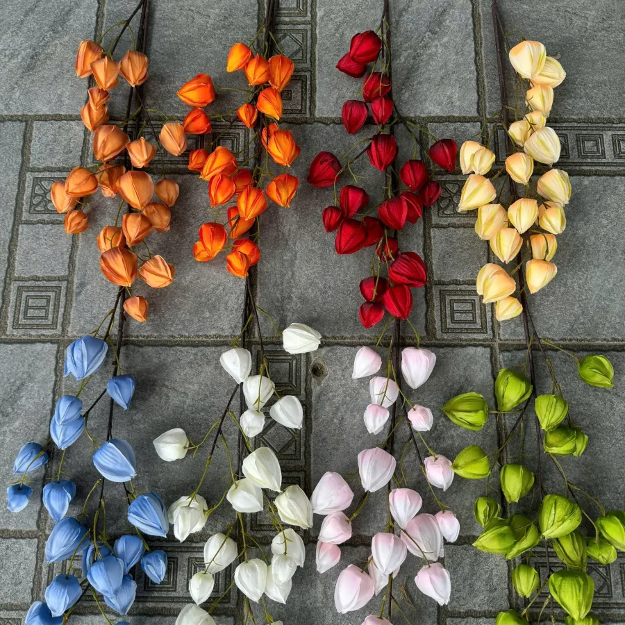 BỒM BỘP ( ĐÈN LỒNG )