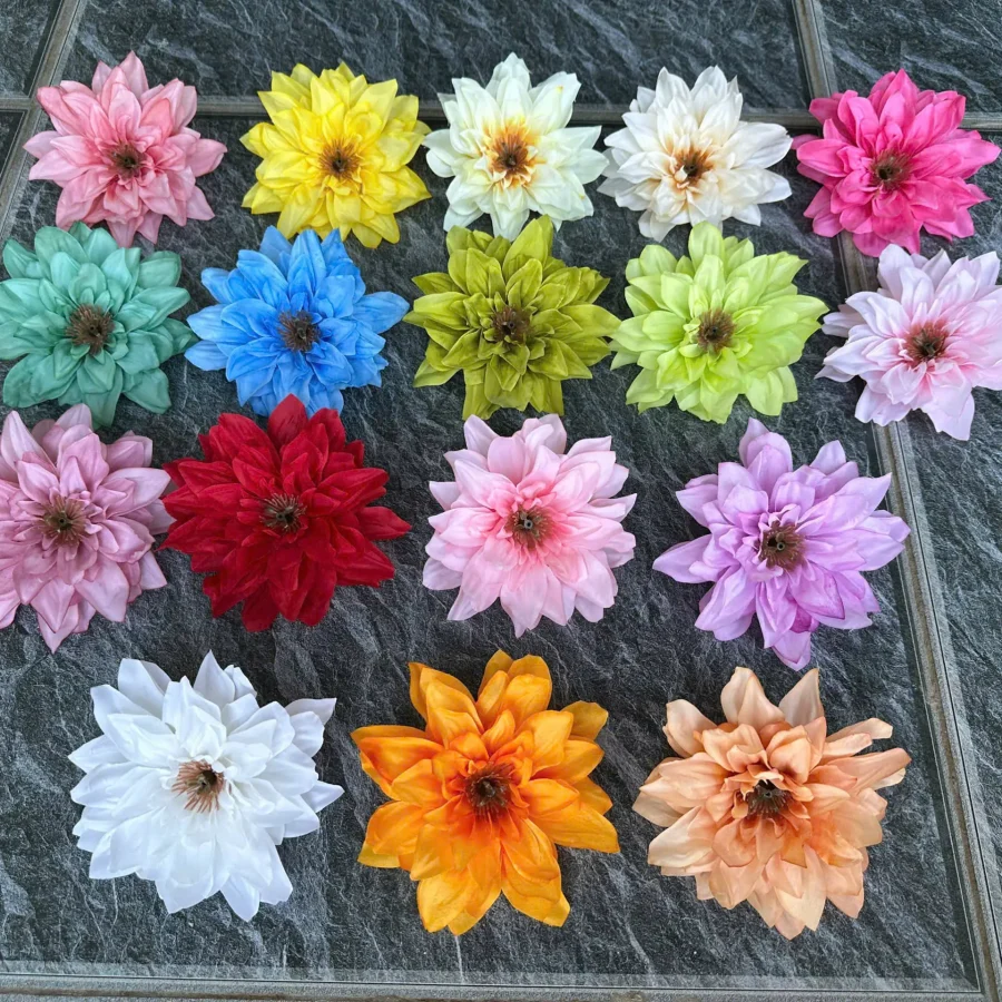 THƯỢC DƯỢC NỮ HOÀNG VIỆT NAM