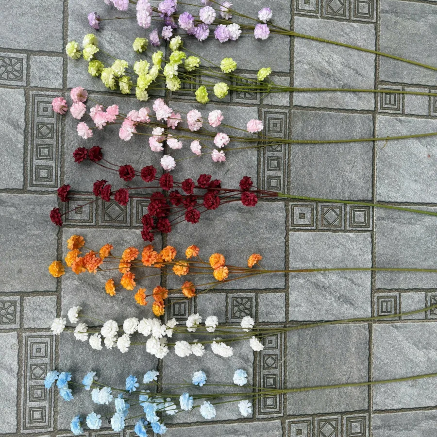 CHÙM TIỂU TÚ CẦU