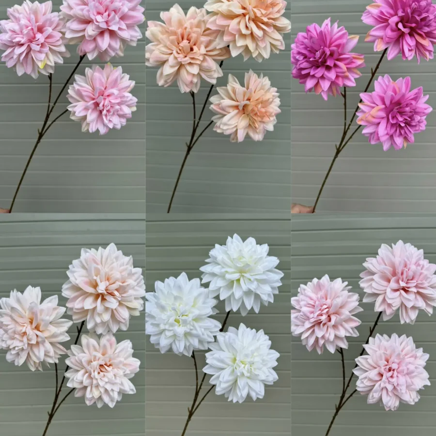 THƯỢC DƯỢC KÉP 3B hàng VN