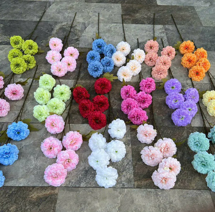 TRÀ XOĂN 5B hàng VN