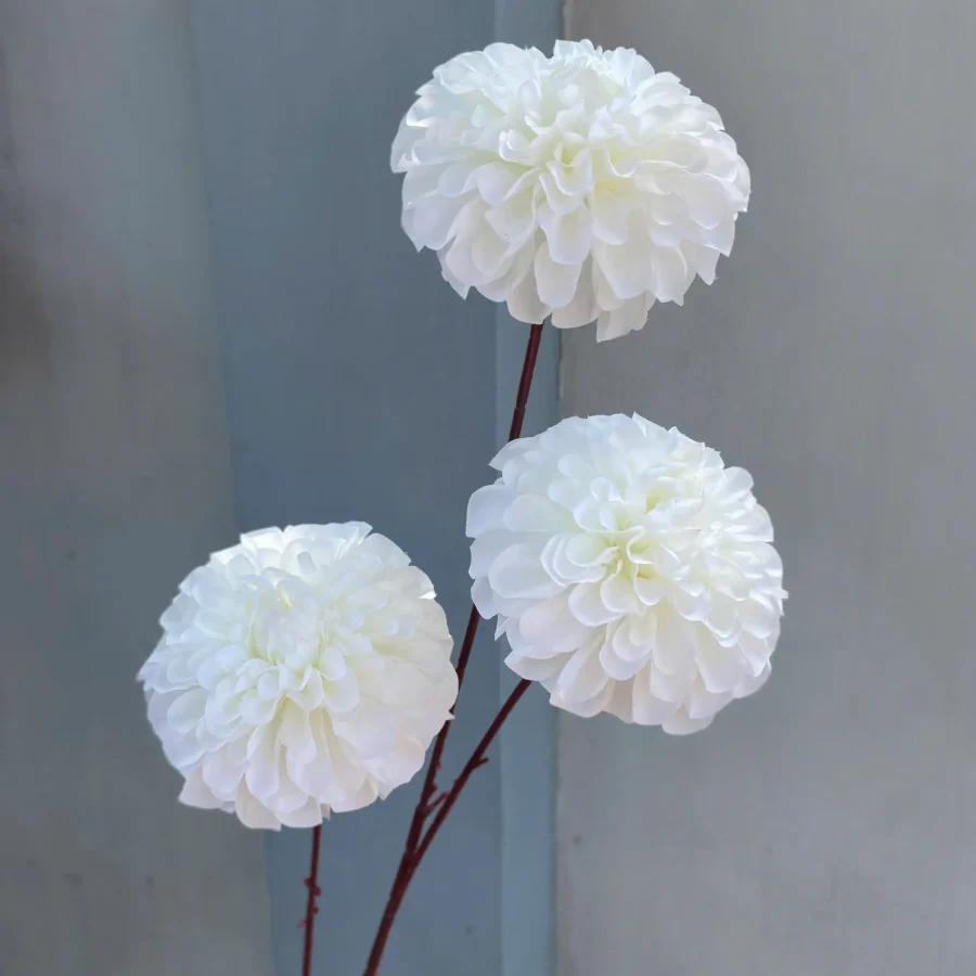 THƯỢC DƯỢC TỔ ONG 3B highlight hàng VN