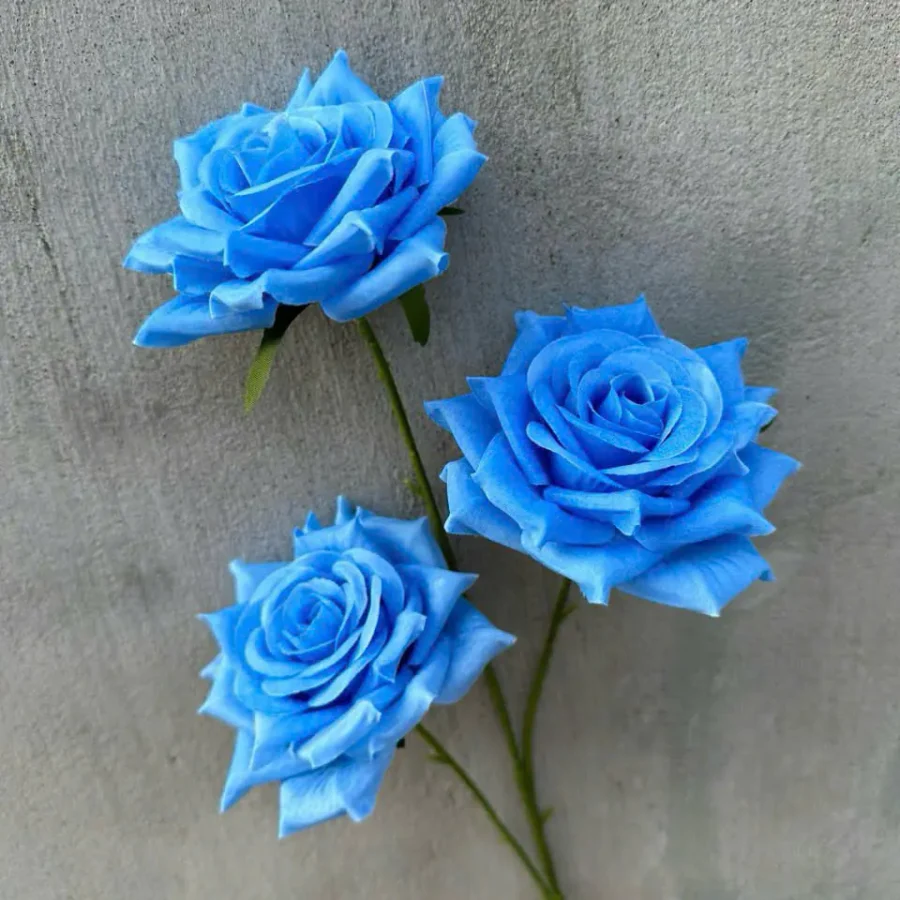 HỒNG GAI 3B hàng VN