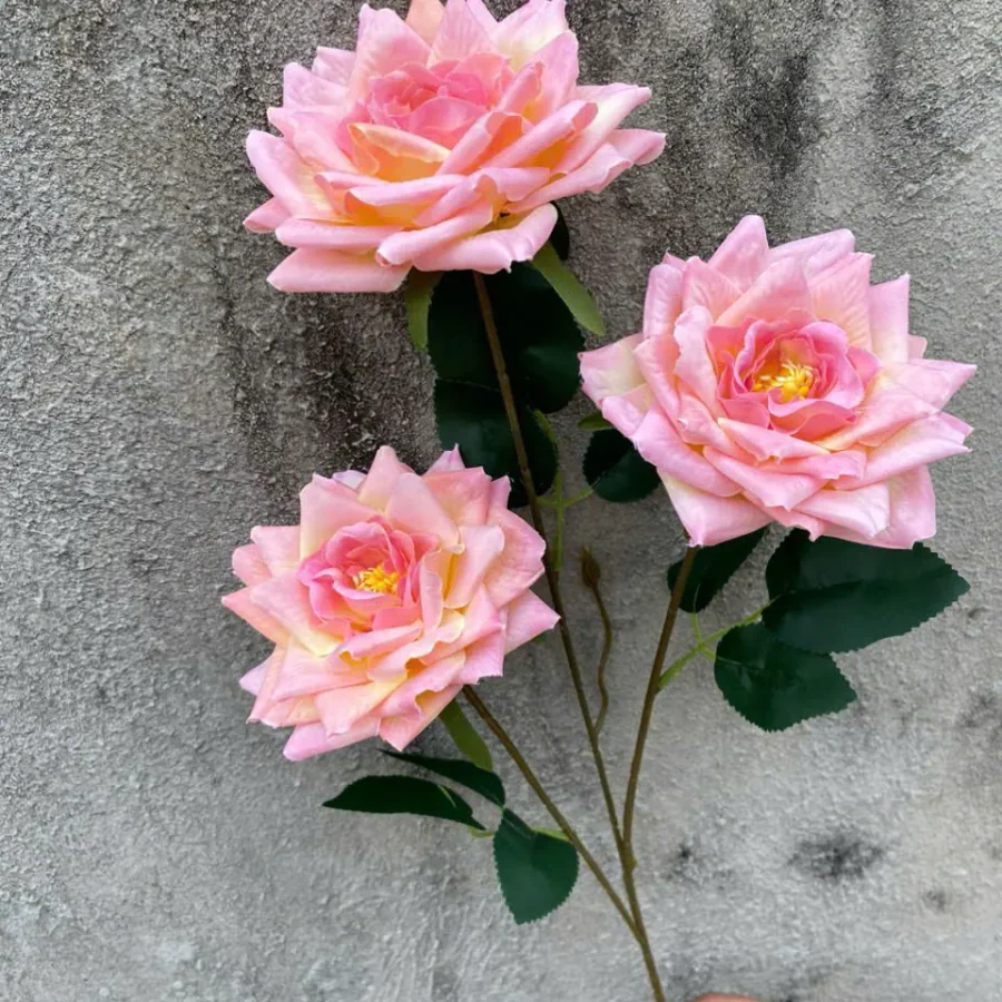 HỒNG RỪNG 3B hàng VN