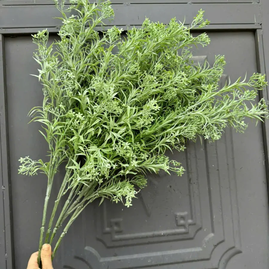 CÀNH DẠ YẾN 5 NHÁNH