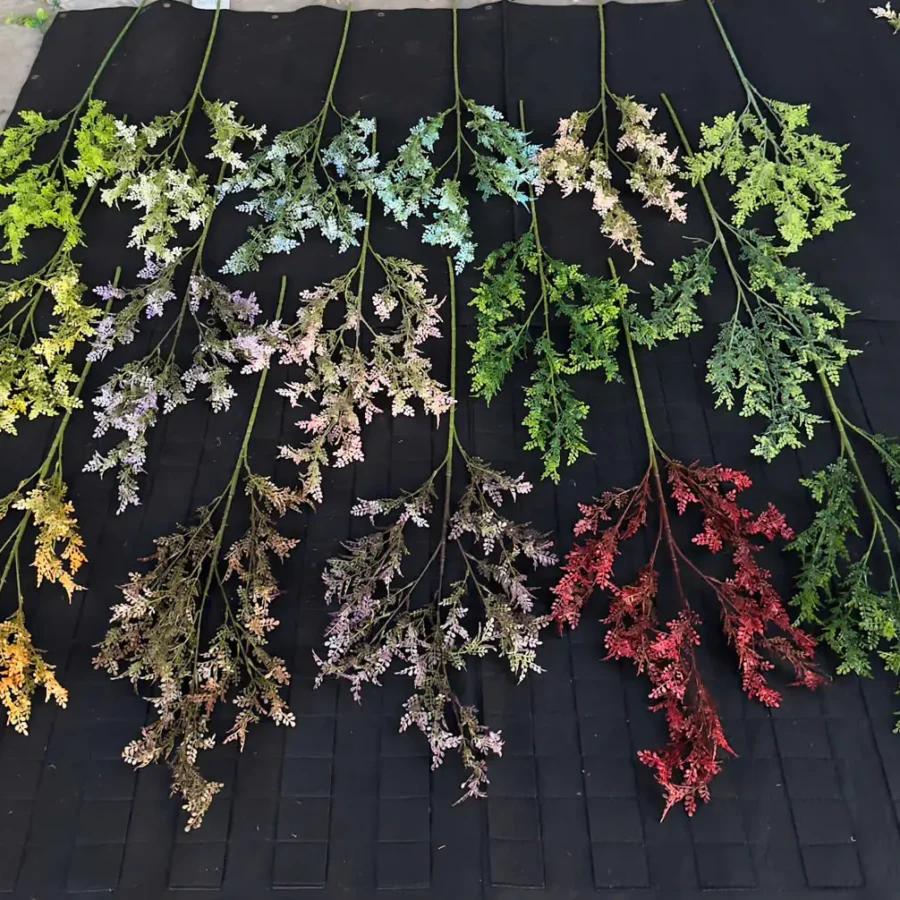 LÁ MỘC HƯƠNG 5 NHÁNH