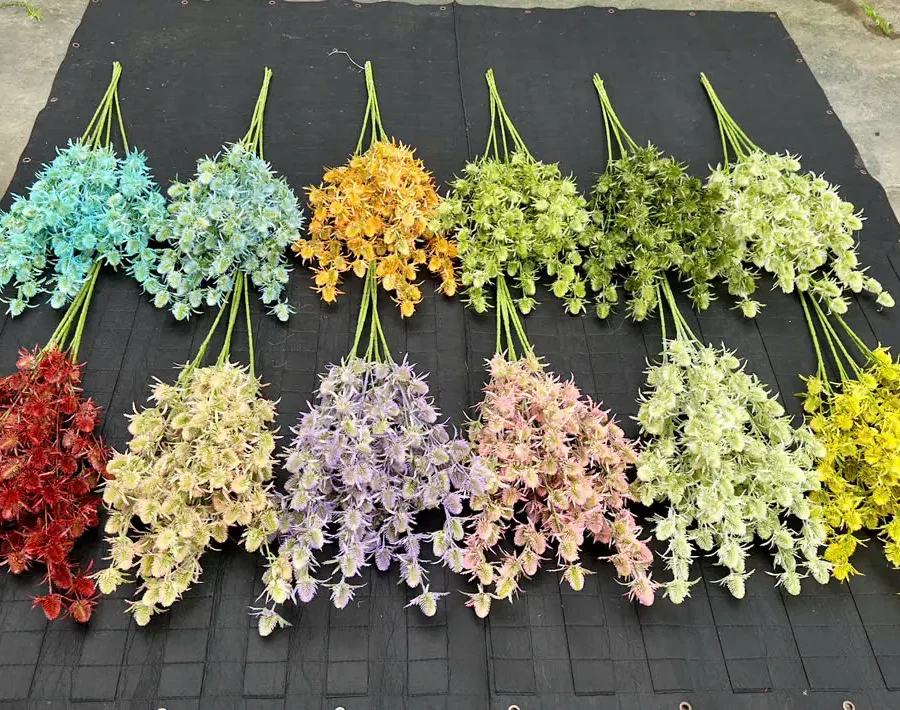 ĐIỂM KIM PHƯỢNG VN