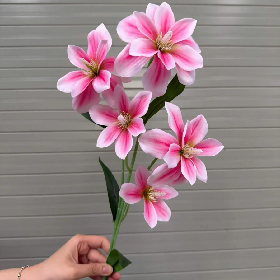 NGỌC LAN KÉP VẢI 5B