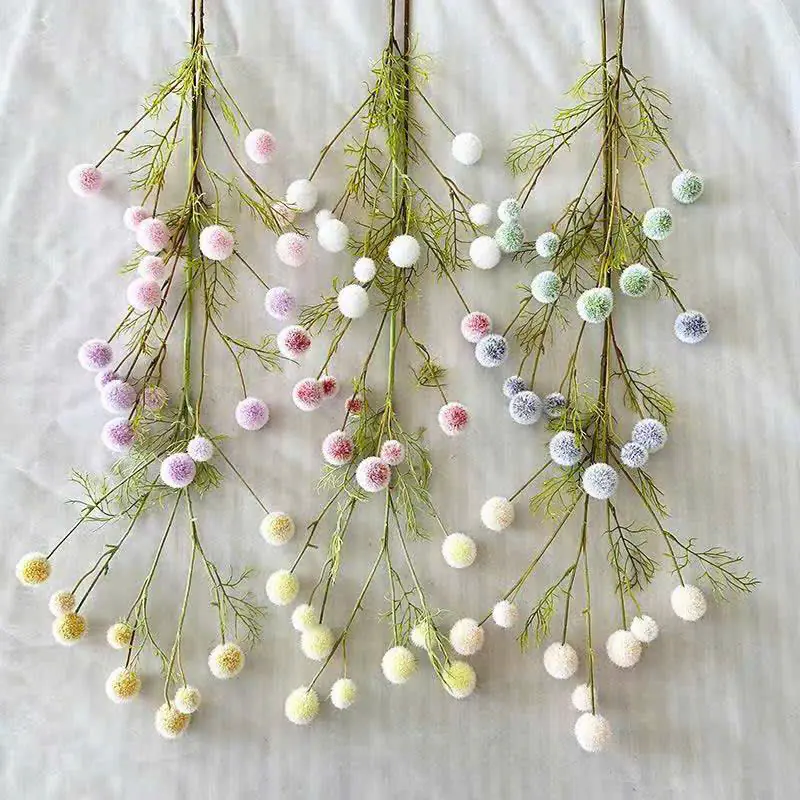 BỒ CÔNG ANH XỐP